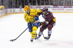 GENF - HC DAVOS